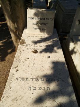תמונת מצבה
