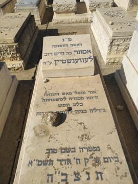 תמונת מצבה