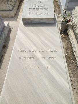 תמונת מצבה