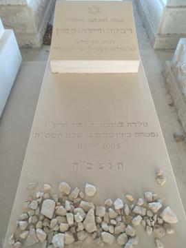 תמונת מצבה