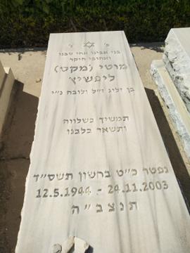 תמונת מצבה