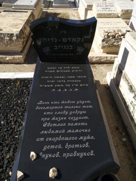 תמונת מצבה