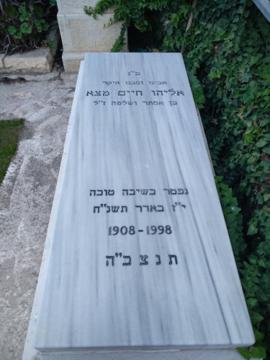 תמונת מצבה