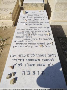 תמונת מצבה