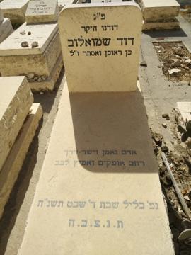 תמונת מצבה