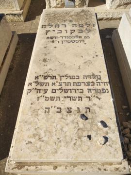 תמונת מצבה