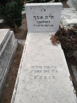 תמונת מצבה