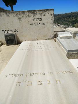 תמונת מצבה