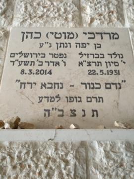 תמונת מצבה