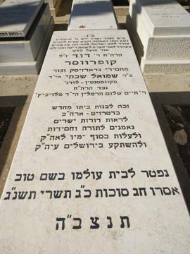 תמונת מצבה