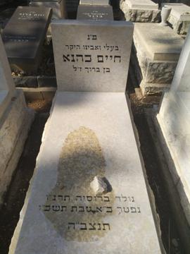 תמונת מצבה