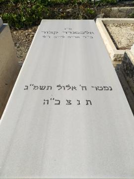 תמונת מצבה