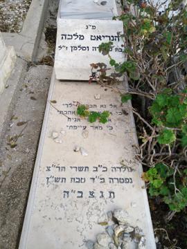 תמונת מצבה