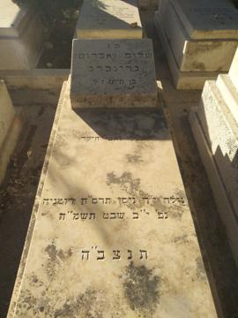 תמונת מצבה
