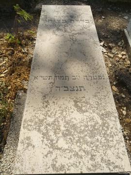 תמונת מצבה