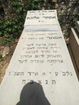 תמונת מצבה