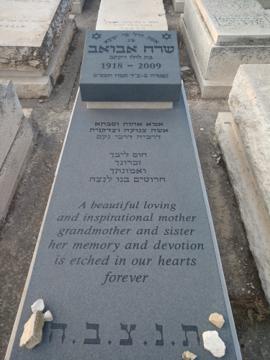 תמונת מצבה