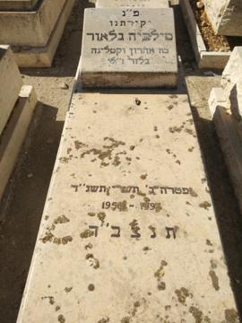 תמונת מצבה