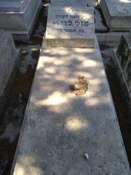תמונת מצבה