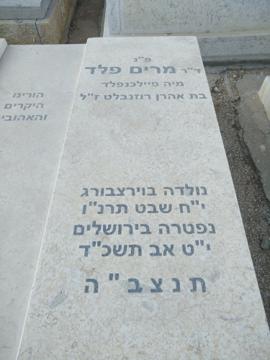 תמונת מצבה