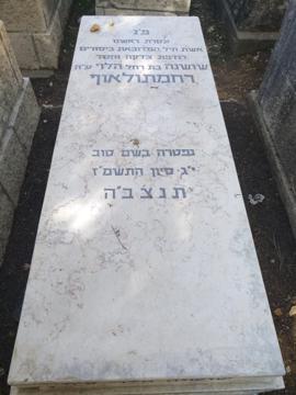 תמונת מצבה