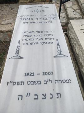 תמונת מצבה