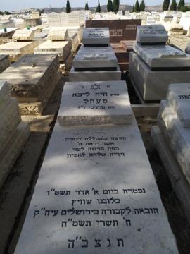 תמונת מצבה