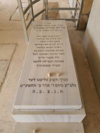 תמונת מצבה