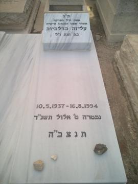 תמונת מצבה