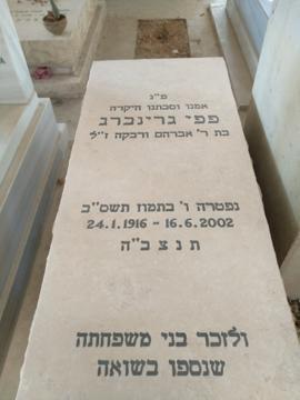 תמונת מצבה