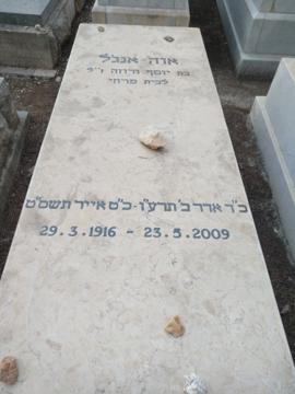 תמונת מצבה