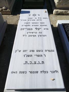 תמונת מצבה