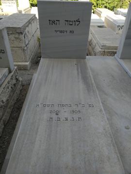 תמונת מצבה