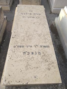 תמונת מצבה