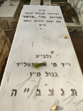 תמונת מצבה
