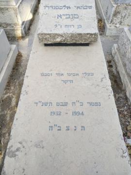 תמונת מצבה