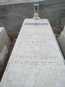תמונת מצבה