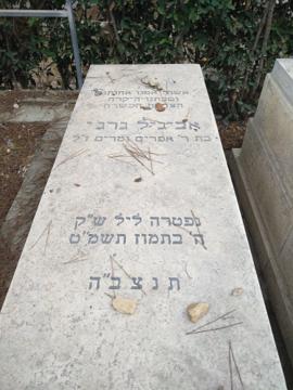 תמונת מצבה