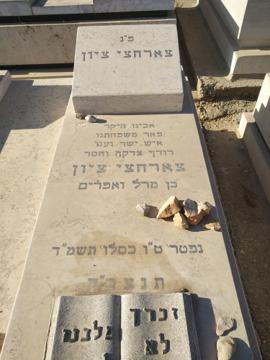 תמונת מצבה