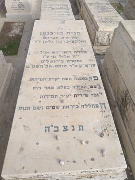 תמונת מצבה