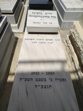 תמונת מצבה