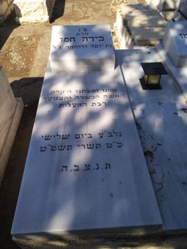 תמונת מצבה