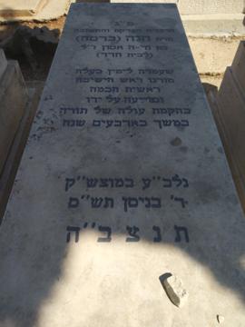 תמונת מצבה