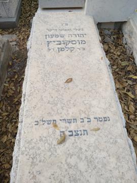 תמונת מצבה