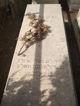 תמונת מצבה