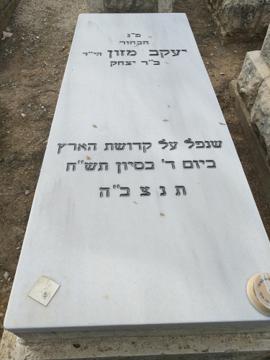 תמונת מצבה