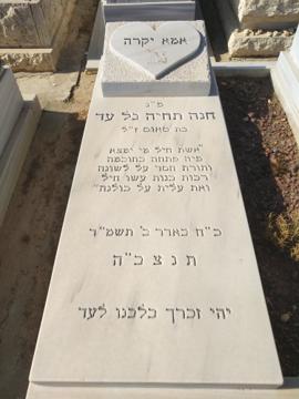 תמונת מצבה
