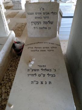 תמונת מצבה