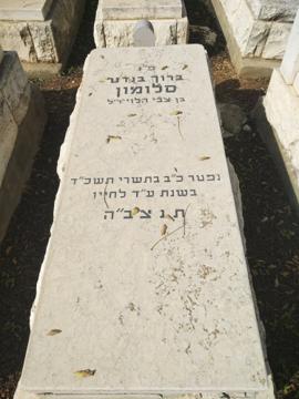תמונת מצבה