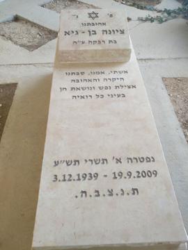 תמונת מצבה